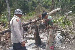 Karhutla di Kaltim Makin Serius! 34 Kasus Ditangani, 9 Orang Jadi Tersangka