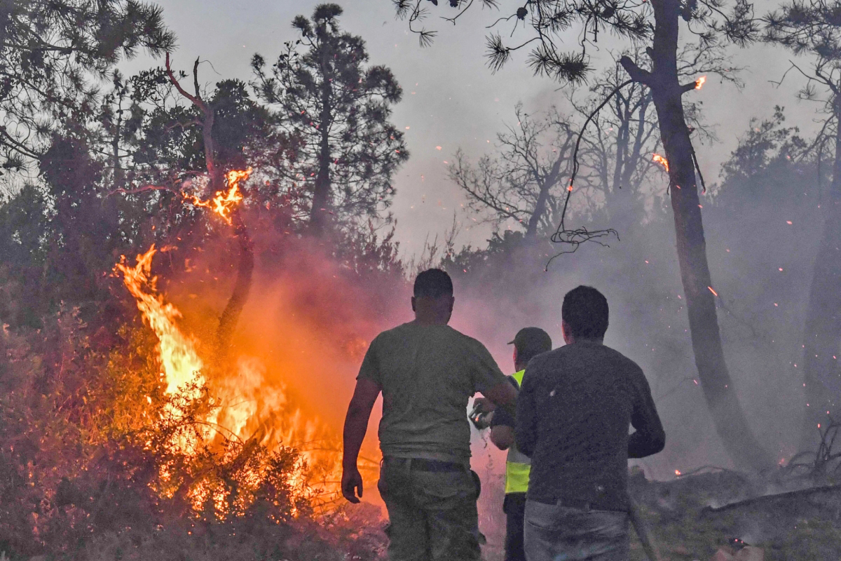 Kebakaran Hutan Aljazair Kian Mengganas, Korban Tewas Bertambah Jadi 73 Orang