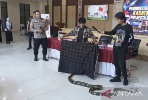 Kemampuan Satkamling Penyangga IKN Ditingkatkan