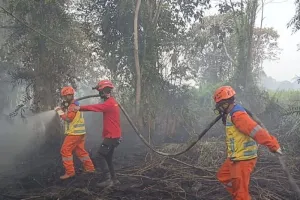 Kementerian PU Tingkatkan Kesiapsiagaan Hadapi Potensi Karhutla di Kalimantan dan Jambi