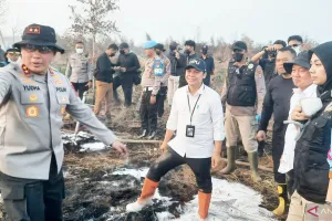 Memperbanyak Sekat Kanal un...