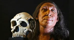 Panggul Neanderthal Ungkap Mengapa Cara Berjalan Pria dan Wanita Berbeda