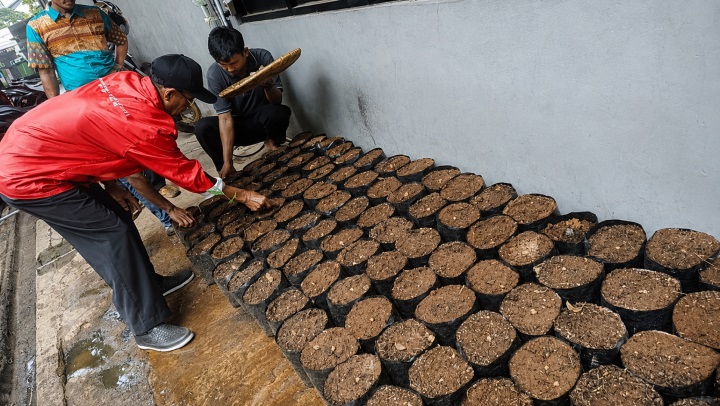 Pemkot Tangerang Sediakan Bibit Tanaman Gratis Melalui Ka...