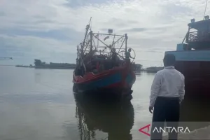 Produksi Perikanan Tangkap Cirebon Tembus 3.603 Ton, Laut Makin Produktif