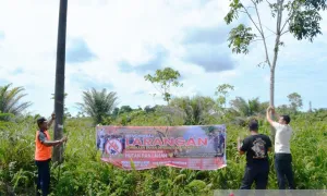 Ancaman Karhutla Mengintai, BPBD Aceh Barat Tebar Peringatan Keras di 5 Titik Rawan