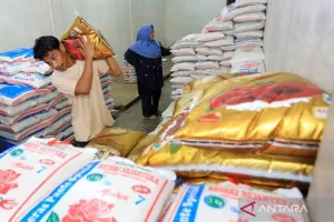 Badan Pusat Statistik: Harga Beras Premium dan Medium Kompak Naik pada Agustus