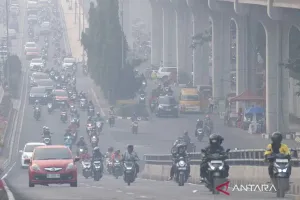 BNPB Catat Luas Karhutla di Sumsel Turun 88 Persen dalam Tiga Tahun Terakhir