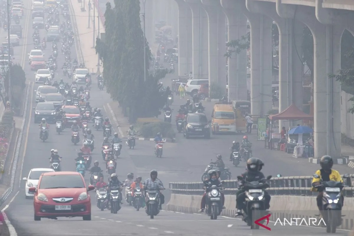 BNPB Catat Luas Karhutla di Sumsel Turun 88 Persen dalam ...
