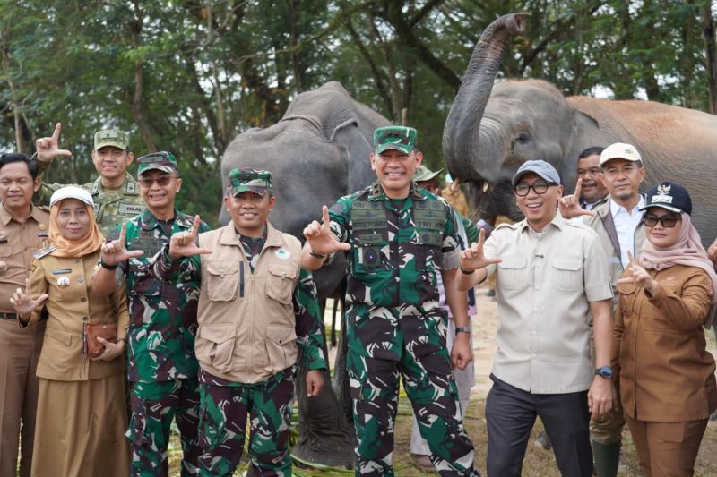 Cegah Konflik Manusia-Gajah di Way Kambas, Pangdam Dorong...