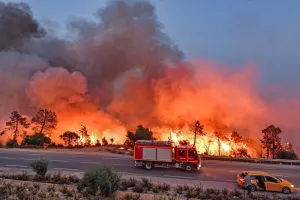 Kebakaran Hutan Tunisia Meluas, Ratusan Keluarga Lari Menyelamatkan Diri