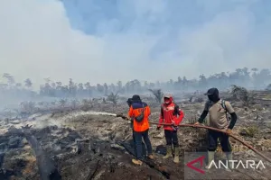 Menyiagakan Logistik Masker guna Menghadapi Dampak Karhutla