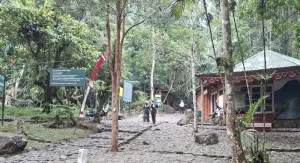 Penutupan Pendakian Gunung Gede Pangarango Diperpanjang, TNGGP Imbau Pendaki "Refund" Tiket Lewat WhatsApp