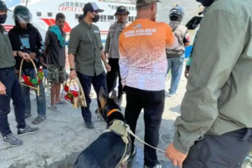 Uji Coba Mobile WDD Berhasil Amankan Lima Burung Kasturi Ternate