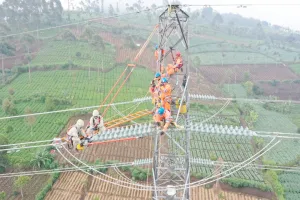 Ancaman El Nino di Depan Mata, PLN Lakukan Pemeliharaan Infrastruktur Kelistrikan