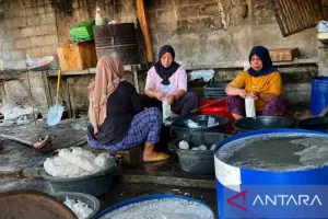 Bukan Sekadar Bumbu Tempe! Kemendikti Ungkap Alasan Ragi Tempe Harus Dilindungi
