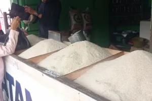 Disperindag: Harga Beras Kualitas Medium di Lebak Naik Rp100 Per Kg