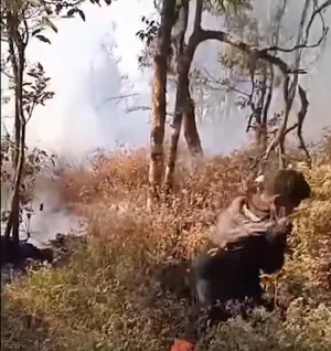 Kebakaran Gunung Butak Berhasil Dipadamkan, 271 Pendaki Berhasil Dievakuasi