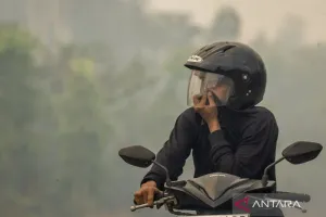 KLH Bertindak Tegas! 21 Perusahaan Terseret Penegakan Hukum Kasus Karhutla