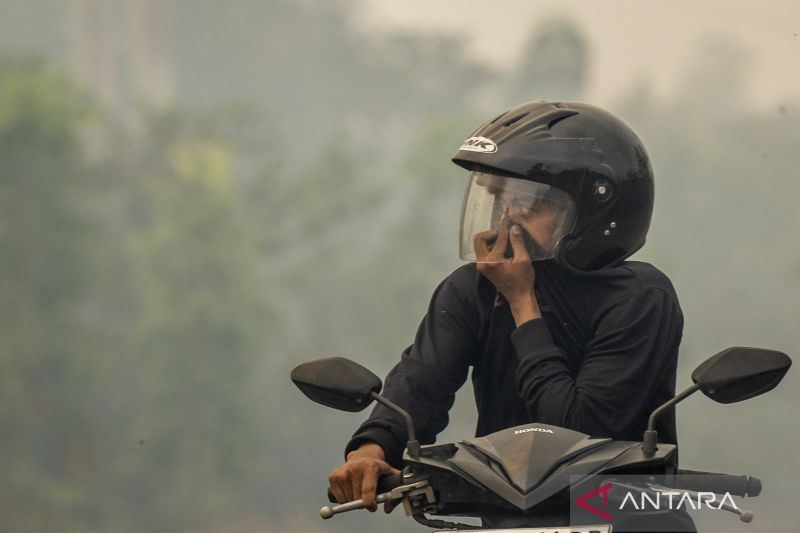 KLH Bertindak Tegas! 21 Perusahaan Terseret Penegakan Huk...