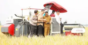 Metode PM-AAS Terbukti Dongkrak Panen Padi di Banten, Bantu Tingkatkan Kesejahteraan Petani