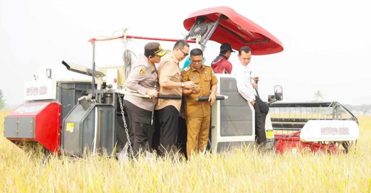 Metode PM-AAS Terbukti Dongkrak Panen Padi di Banten, Ban...