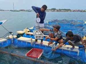 Pemberdayaan Memerlukan Teknologi Tepat Guna