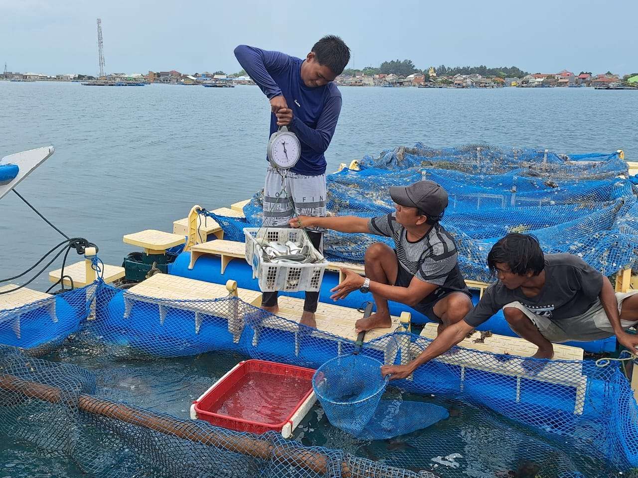 Pemberdayaan Memerlukan Teknologi Tepat Guna