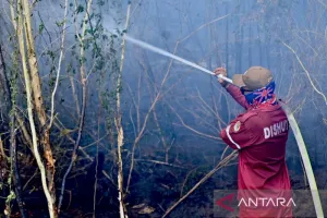 Rabu (02/9), BMKG Mendeteksi Titik Panas Sebanyak 1.299 di Kalimantan Selatan 
