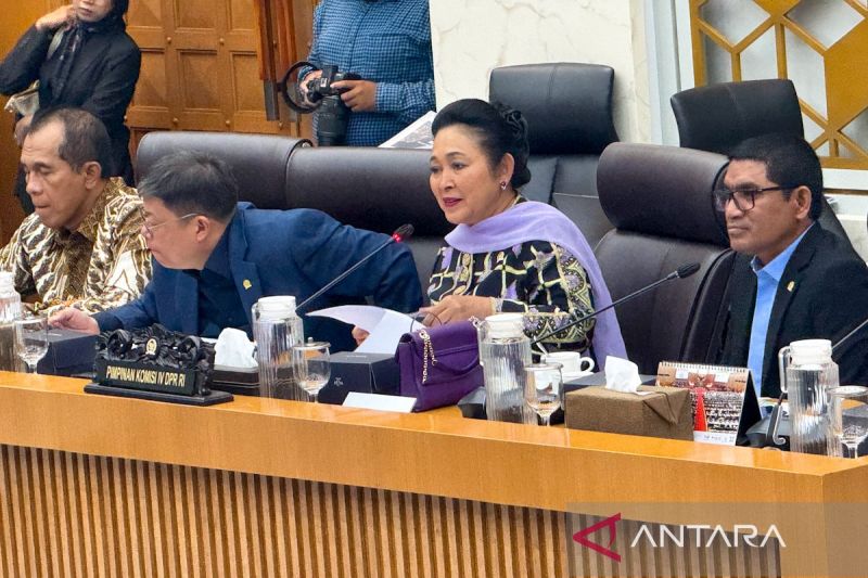 Terungkap! 8 Komoditas Pangan Indonesia Berhasil Capai Sw...
