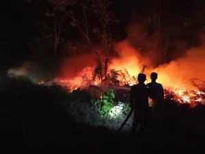BNPB: Kualitas Udara Kalbar Berbahaya