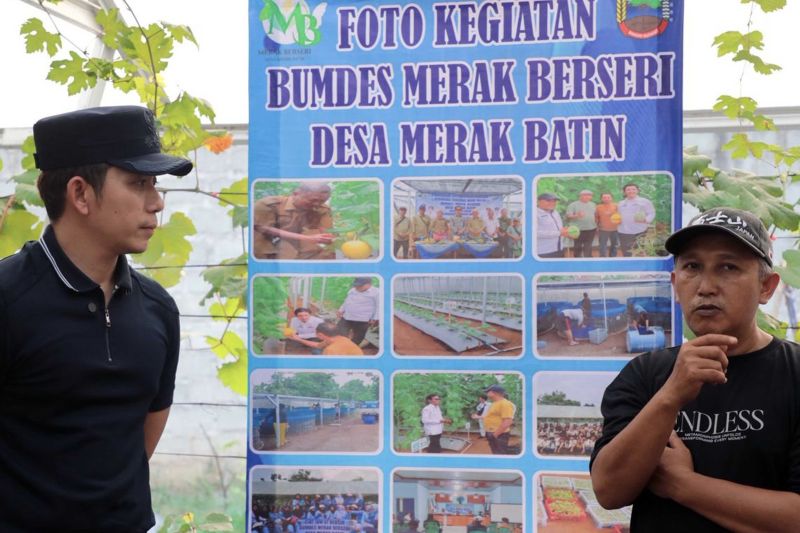 Bupati Lampung Selatan Punya Strategi Baru! Melon dan Anggur Bakal Dikembangkan Lewat BUMDes