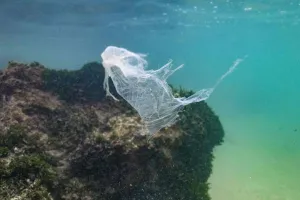 Jepang Kerahkan AI untuk Bersih-Bersih Laut dari Sampah Plastik