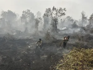 Kalbar Dikepung 2.434 Titik Panas, Kabut Asap Mulai Ancam Jarak Pandang