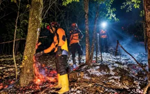 Kebakaran di Gunung Lemongan Seluas 3 ha Berhasil Dipadamkan