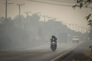 Kerugian Karhutla Rp123 Triliun, RI Didesak Evaluasi Mitigasi