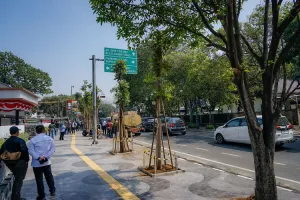 Pemkot Bandung Mulai Rehabilitasi Ruang Publik, 10 Pohon Mahoni Kembali Hijaukan Jalan Riau