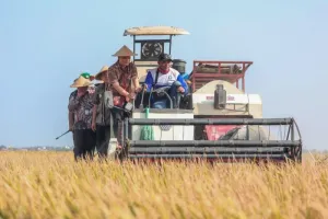 Pemprov Jateng Lindungi 10 Ribu Hektare Sawah Petani yang Berisiko Gagal Panen dengan Asuransi