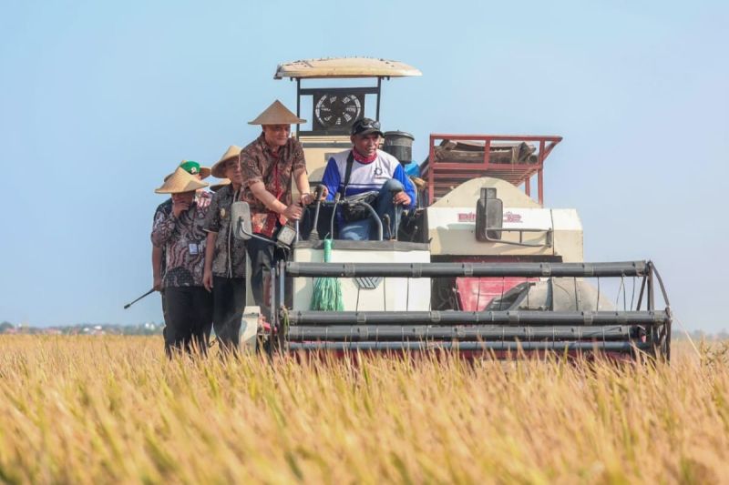 Pemprov Jateng Lindungi 10 Ribu Hektare Sawah Petani yang...