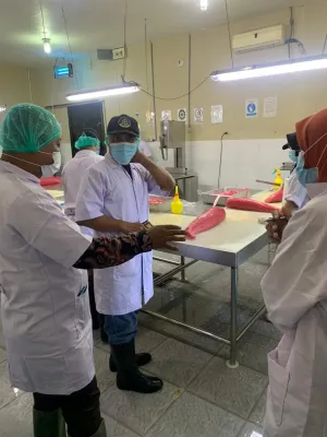 Tembus AS & Singapura! Ikan Tuna Sulawesi Tengah Jadi Primadona Ekspor