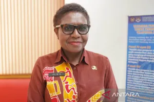 Tujuh Cagar Budaya Mimika Naik Peringkat ke Provinsi