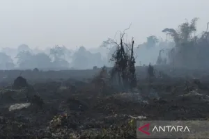Demi Hujan Turun, Helikopter BNPB Terbang 15 Jam Semai Garam di Jambi