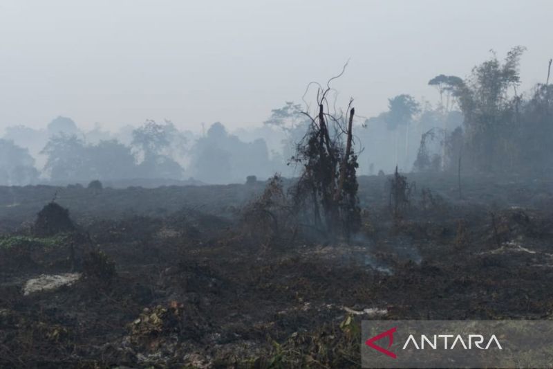Demi Hujan Turun, Helikopter BNPB Terbang 15 Jam Semai Ga...