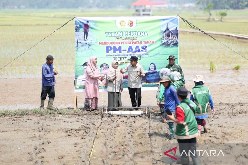 Dorong Produktivitas, Pemkot Solok Terapkan Pertanian Modern