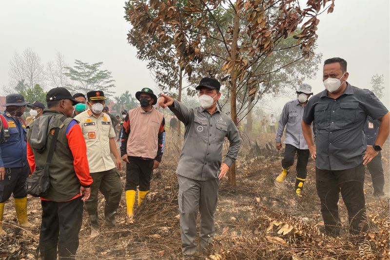 Gubernur Kalbar Ria Norsan Duga Lahan di Kubu Raya Sengaja Dibakar untuk Buka Pertanian.