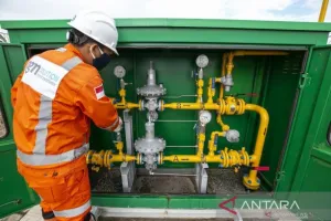 Jargas hingga Listrik Desa Dikebut, ESDM Kucurkan Dana Jumbo Rp22 Triliun