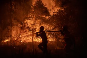 Karhutla Ancam Keberlangsungan Flora dan Satwa Endemik Indonesia