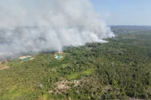 Karhutla Hanya 44 Km dari IKN, Helikopter Caracal Mulai Bombardir Titik Api