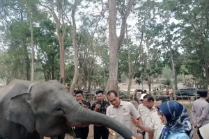 Komisi IV DPR RI Minta Way Kambas Perkuat Pencegahan Karhutla dan Pulihkan Ekosistem.