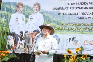 Tingkatkan Produksi Susu, Jateng Gunakan Teknologi Inseminasi Buatan untuk Atur Jenis Kelamin Anak Sapi.