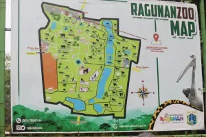 Usulan Tarif Baru Taman Margasatwa Ragunan: Dewasa Rp10 Ribu, Anak Rp7.500